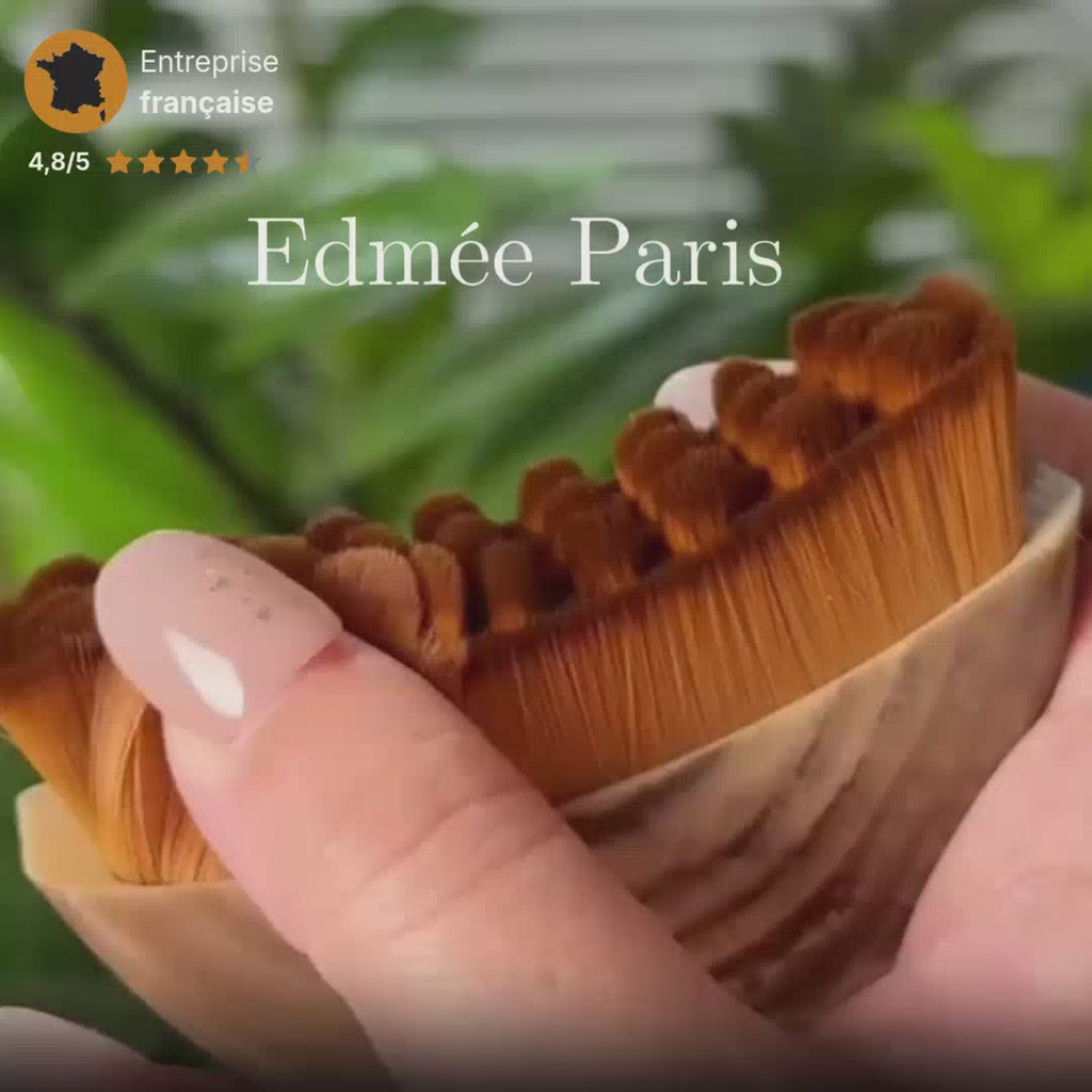 Brosse Drainante